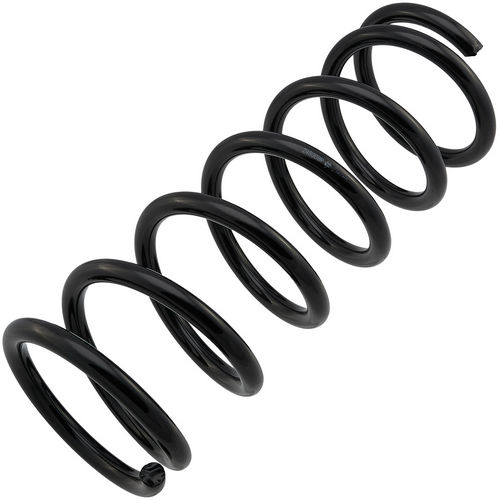 Z48308R — ZIKMAR — Suspension Spring, Rear