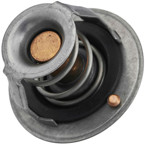 Z69548R — ZIKMAR — Thermostat