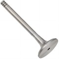 Z17309R — ZIKMAR — Engine valve