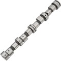 Z18097R — ZIKMAR — Camshaft