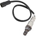 Z24779R — ZIKMAR — Oxygen Sensor