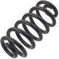 Z48221R — ZIKMAR — Suspension Spring, Rear