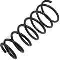 Z48280R — ZIKMAR — Suspension Spring, Rear