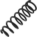 Z48289R — ZIKMAR — Suspension Spring, Front