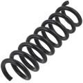 Z48294R — ZIKMAR — Suspension Spring, Rear