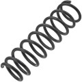 Z48302R — ZIKMAR — Suspension Spring, Rear