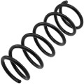 Z48304R — ZIKMAR — Suspension Spring, Rear