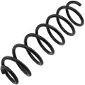 Z48328R — ZIKMAR — Suspension Spring, Rear