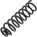 Z48329R — ZIKMAR — Suspension Spring, Rear
