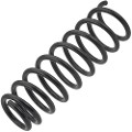 Z48336R — ZIKMAR — Suspension Spring, Rear