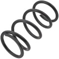 Z48349R — ZIKMAR — Suspension Spring, Rear