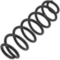 Z48541R — ZIKMAR — Suspension Spring, Rear