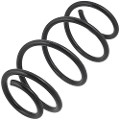 Z48545R — ZIKMAR — Suspension Spring, Front