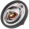 Z69564R — ZIKMAR — Thermostat