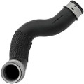 Z71196R — ZIKMAR — Radiator hose (upper)